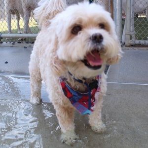 Meet your Posher, Emma